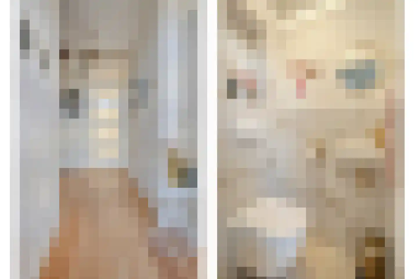 Staringstraat 86 Oss thumbnail 8