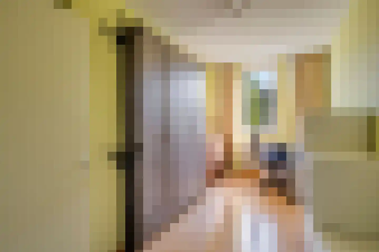 Staringstraat 93 Oss thumbnail 15