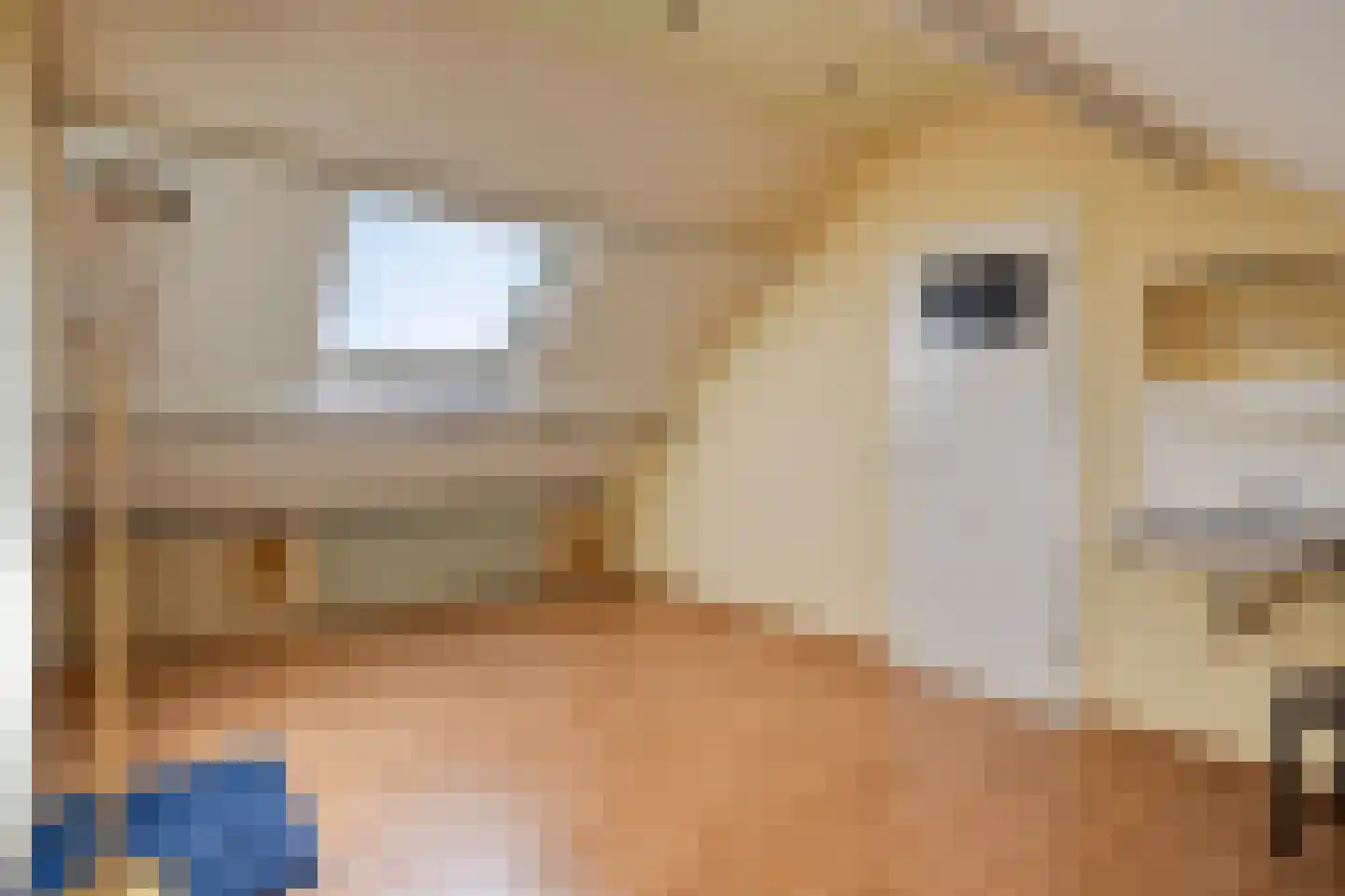Staringstraat 93 Oss thumbnail 18
