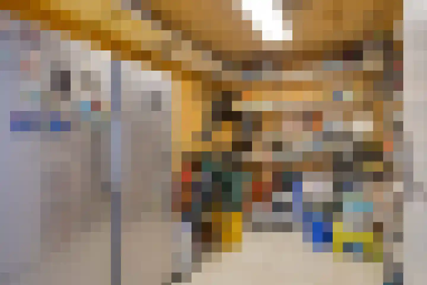 Staringstraat 93 Oss thumbnail 24