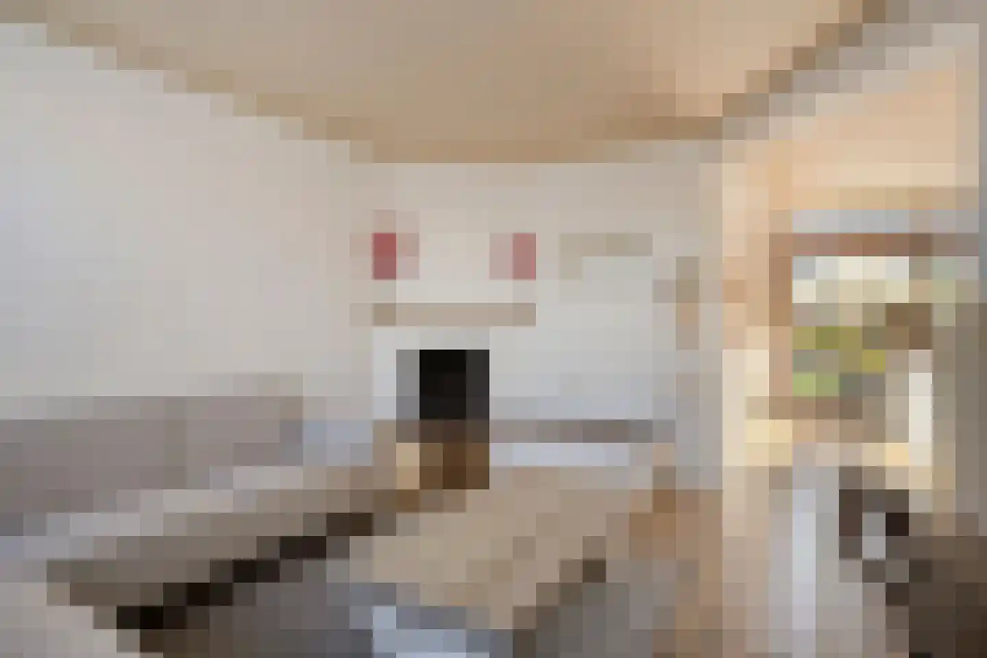 Staringstraat 93 Oss thumbnail 4