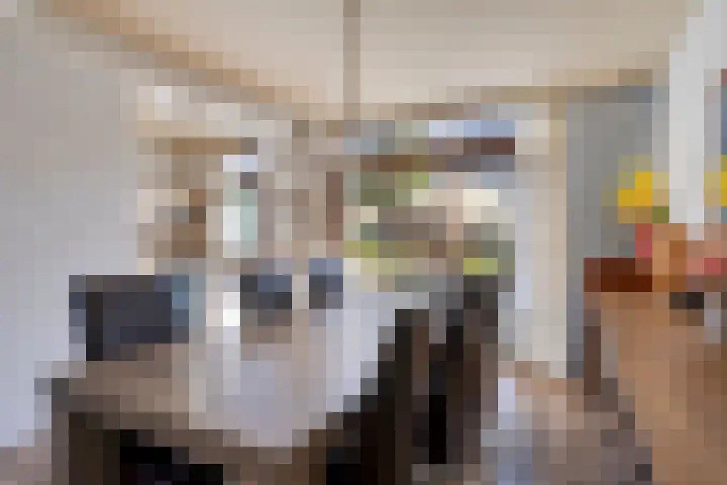 Staringstraat 93 Oss thumbnail 7
