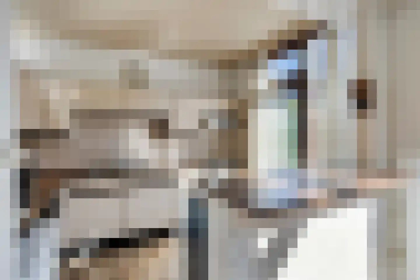Staringstraat 93 Oss thumbnail 8