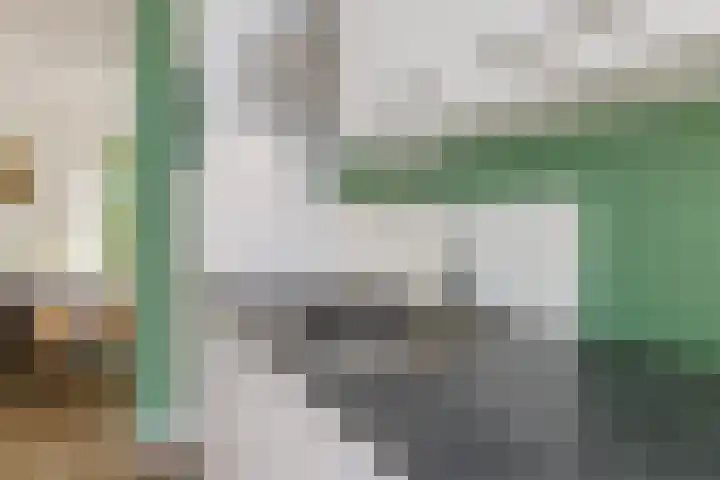 Staringweg 1 a Almen thumbnail 11