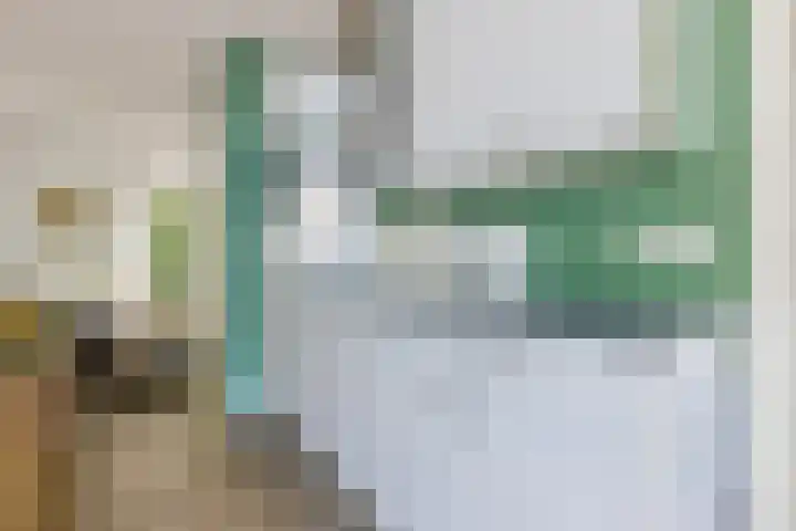 Staringweg 1 a Almen thumbnail 12