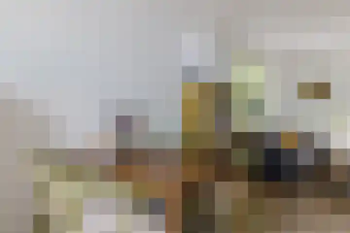Staringweg 1 a Almen thumbnail 14