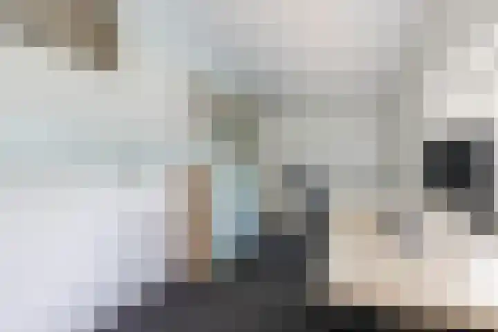 Staringweg 1 a Almen thumbnail 27