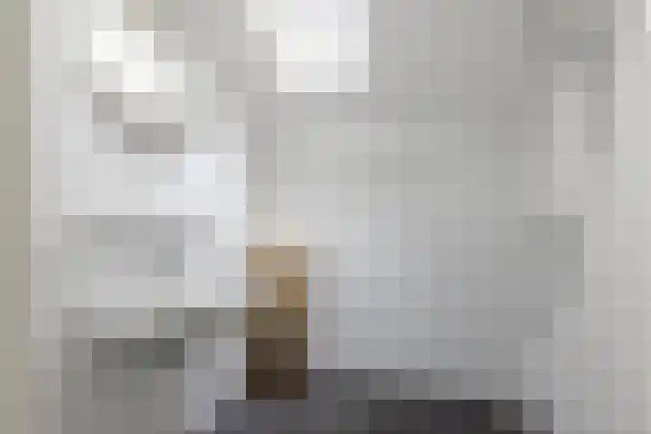 Staringweg 1 a Almen thumbnail 29