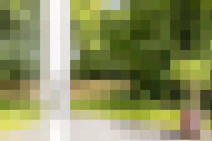 Staringweg 1 a Almen thumbnail 32