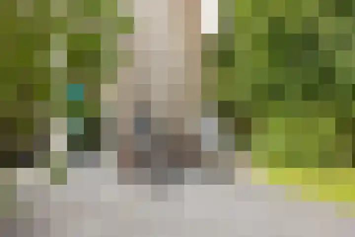 Staringweg 1 a Almen thumbnail 33