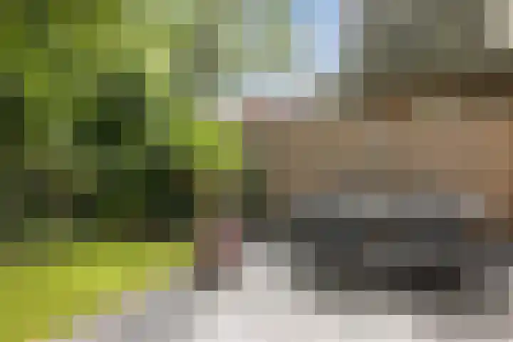 Staringweg 1 a Almen thumbnail 34