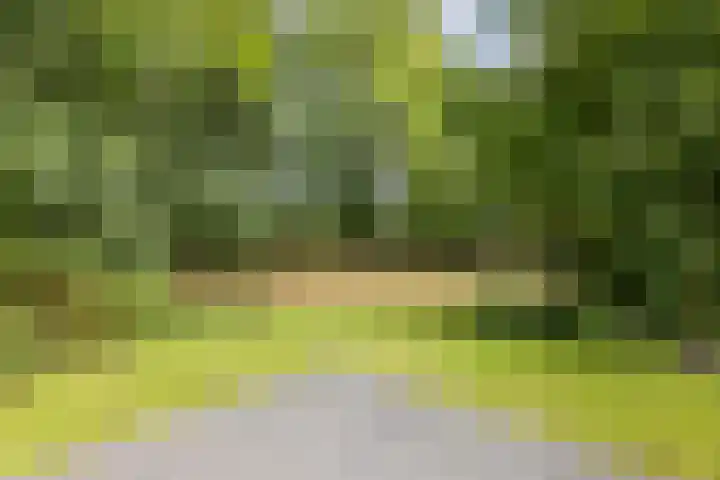 Staringweg 1 a Almen thumbnail 35