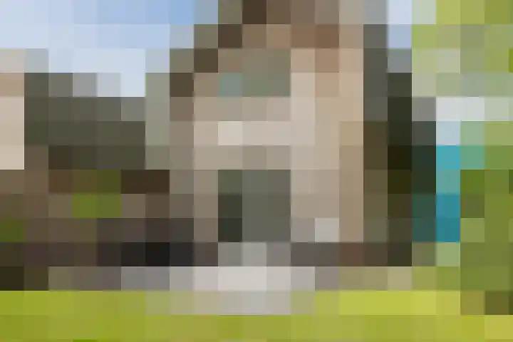 Staringweg 1 a Almen thumbnail 36