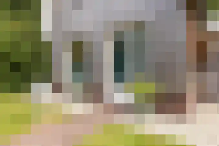 Staringweg 1 a Almen thumbnail 39