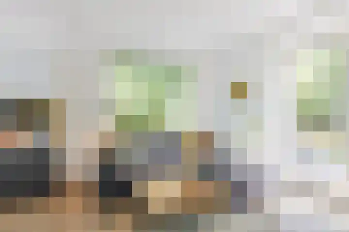 Staringweg 1 a Almen thumbnail 4