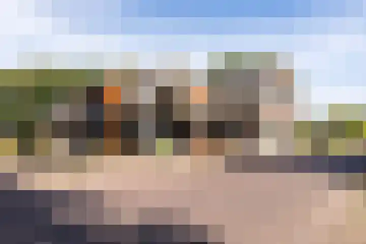 Staringweg 1 a Almen thumbnail 40