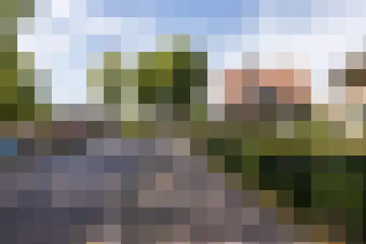 Staringweg 1 a Almen thumbnail 43