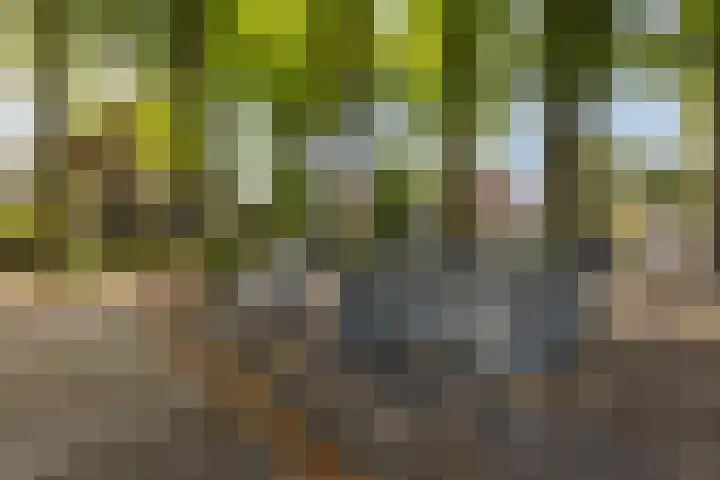 Staringweg 1 a Almen thumbnail 44