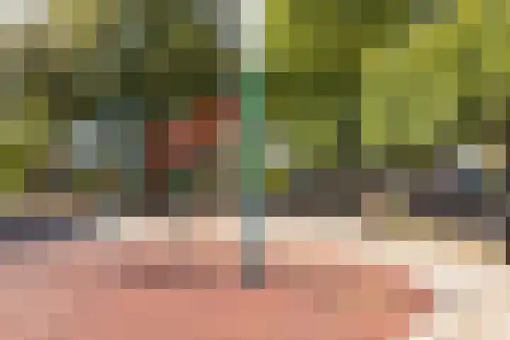 Staringweg 1 a Almen thumbnail 45