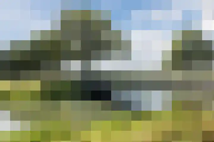 Staringweg 1 a Almen thumbnail 46