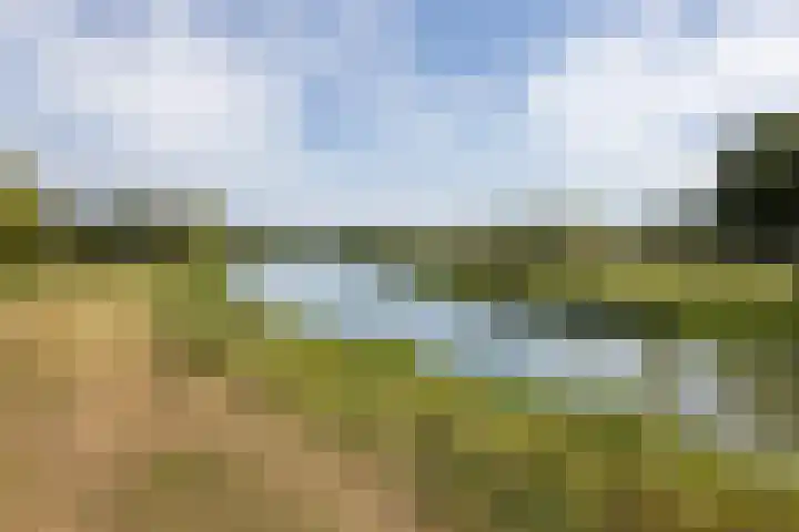 Staringweg 1 a Almen thumbnail 47