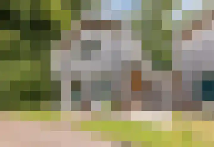 Staringweg 1 a Almen thumbnail 50