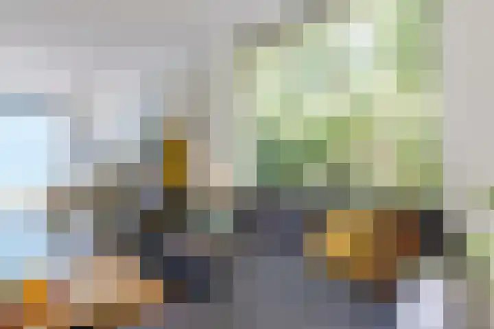 Staringweg 1 a Almen thumbnail 6