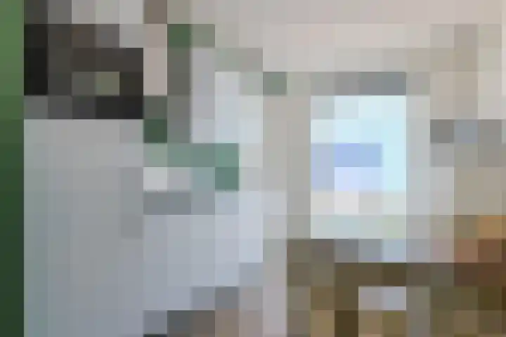 Staringweg 1 a Almen thumbnail 9