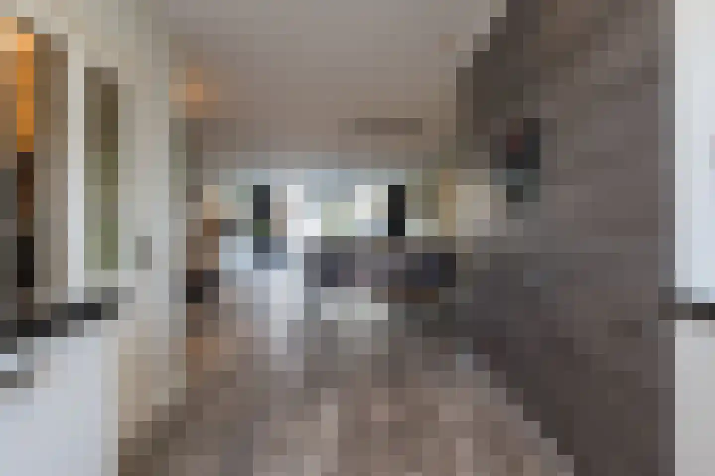 Staringwende 21 Hillegom thumbnail 14