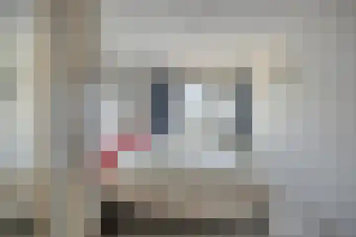Starnheim 4 Abcoude thumbnail 12