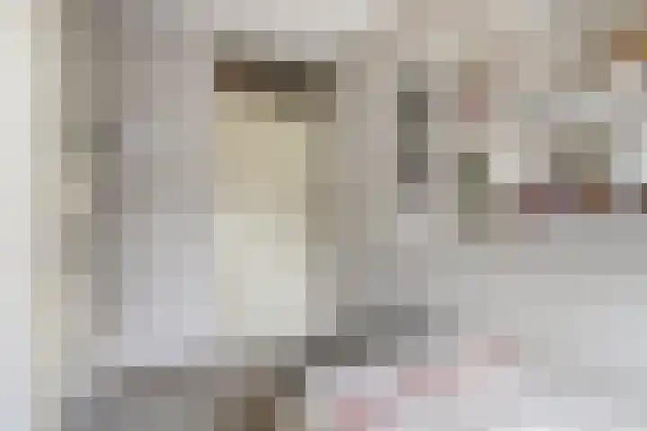Starnheim 4 Abcoude thumbnail 19