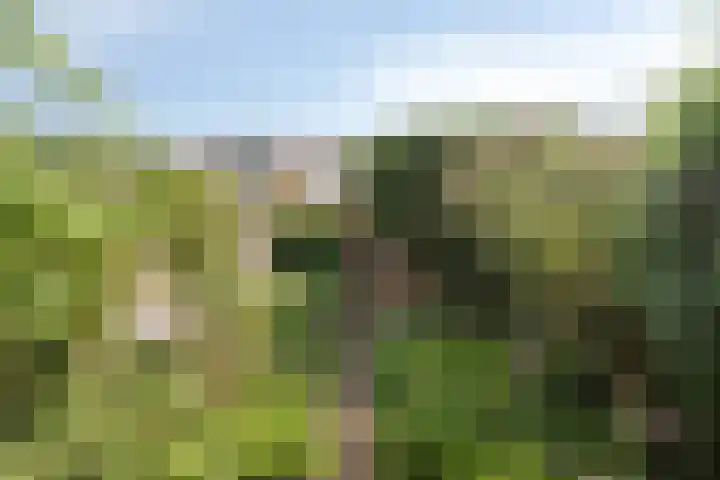 Starnheim 4 Abcoude thumbnail 22