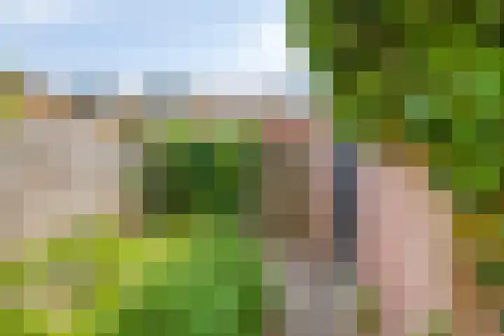 Starnheim 4 Abcoude thumbnail 24