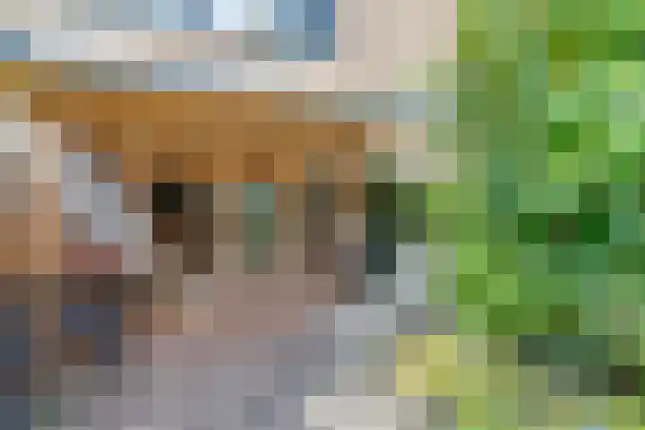Starnheim 4 Abcoude thumbnail 25