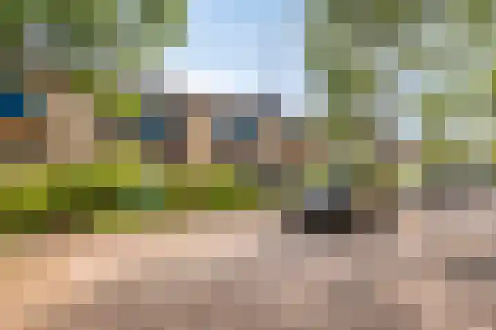 Starnheim 4 Abcoude thumbnail 26
