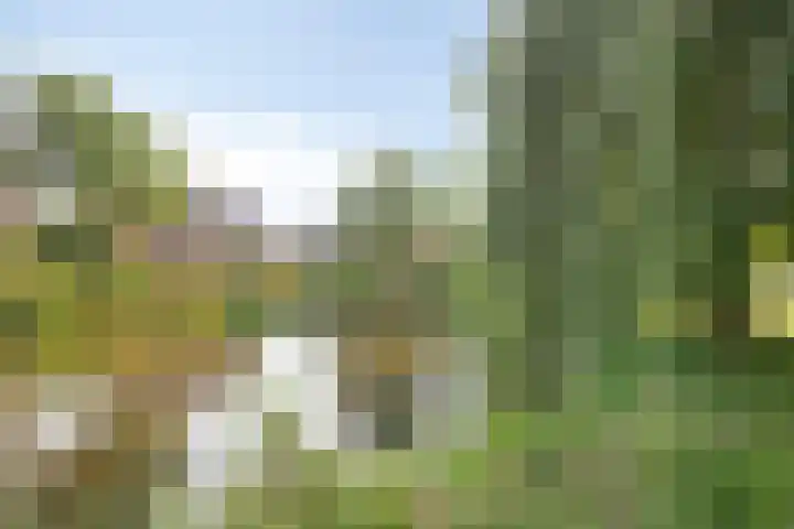 Starnheim 4 Abcoude thumbnail 27
