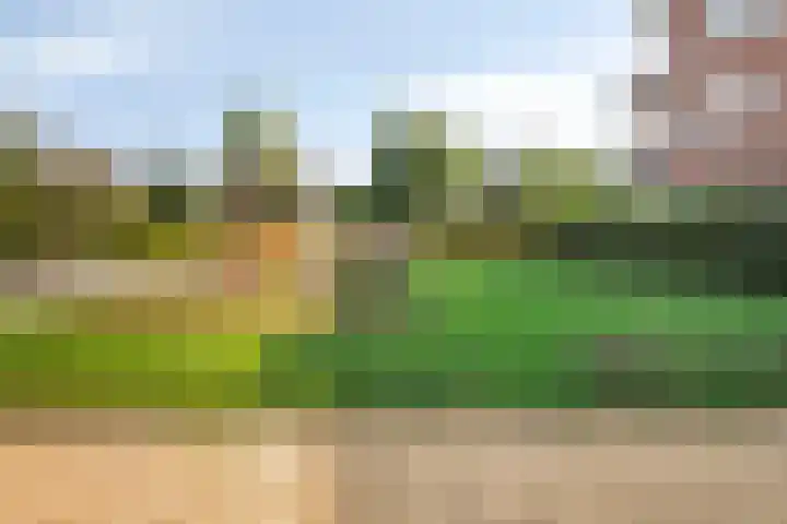 Starnheim 4 Abcoude thumbnail 28
