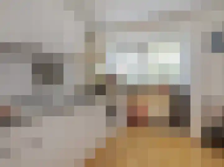 Starnheim 4 Abcoude thumbnail 6