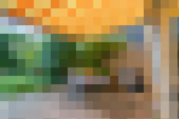 Starnheim 4 Abcoude thumbnail 9