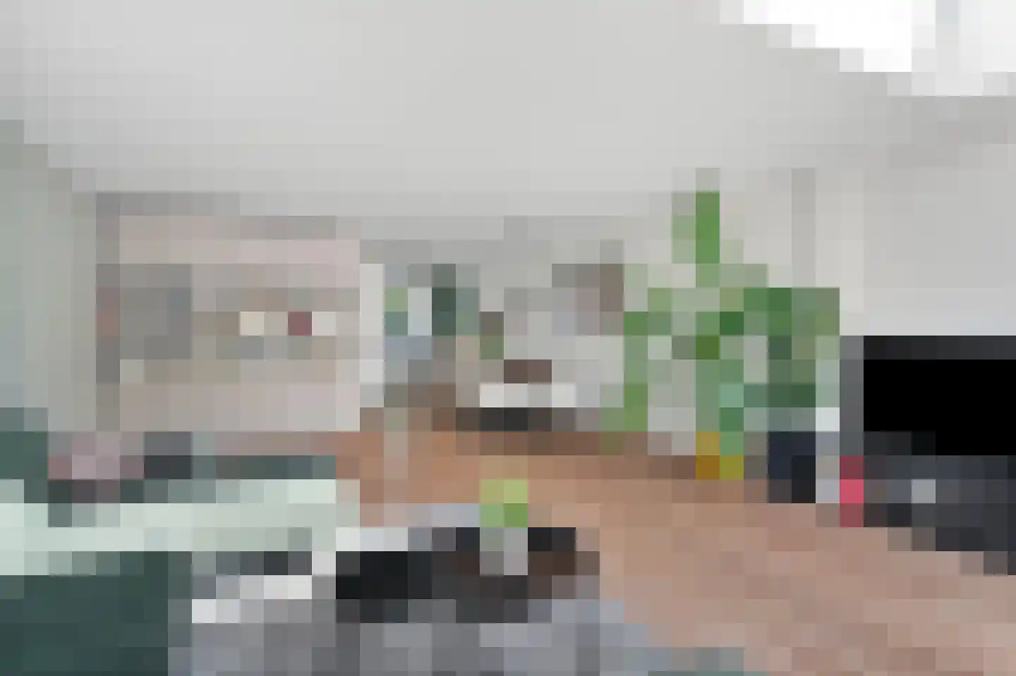 Starnheim 7 Abcoude thumbnail 11
