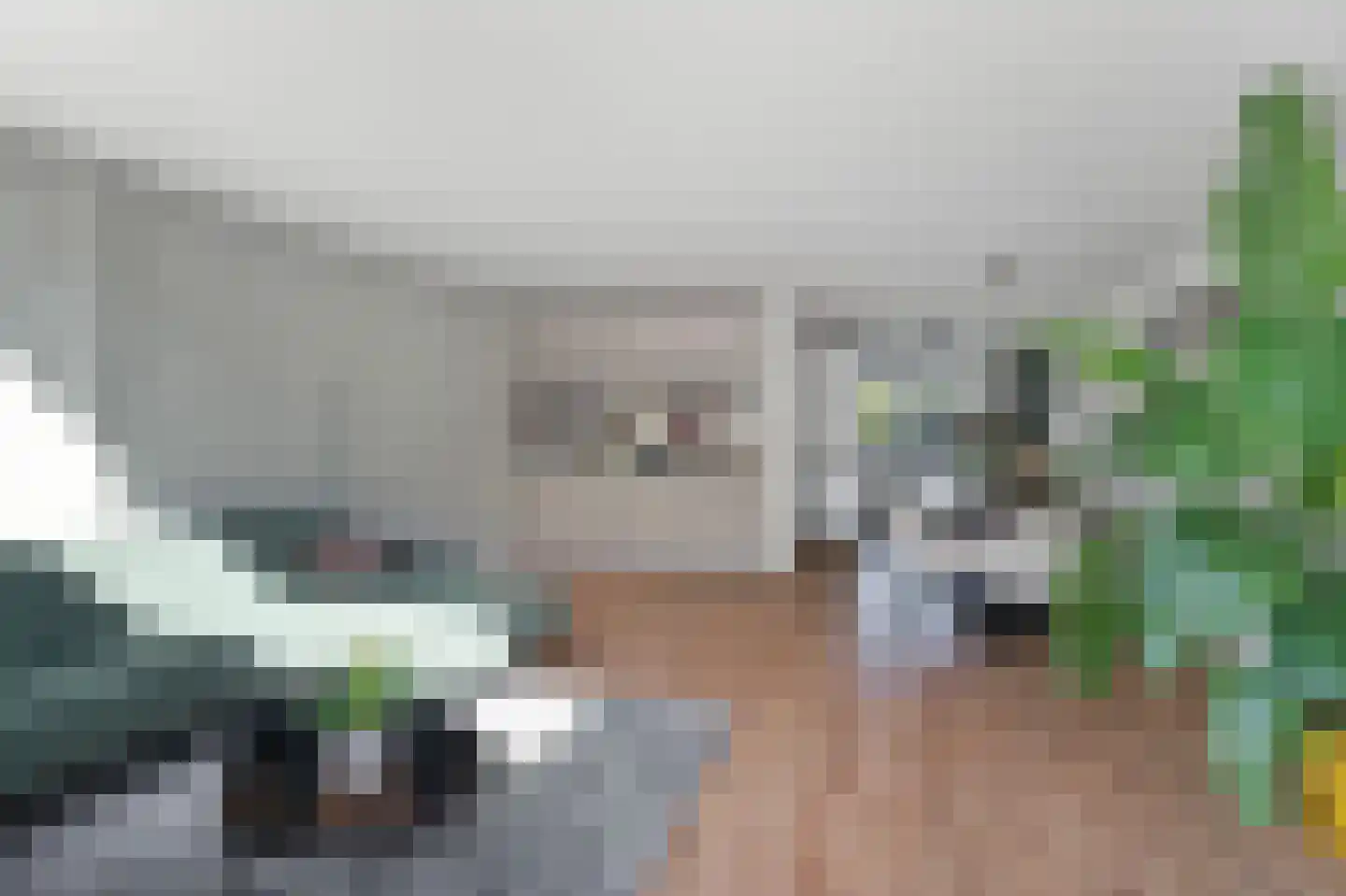 Starnheim 7 Abcoude thumbnail 13
