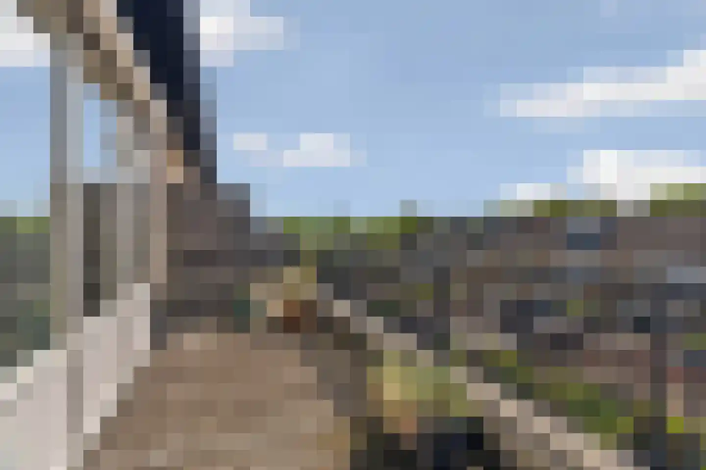 Starnheim 7 Abcoude thumbnail 31