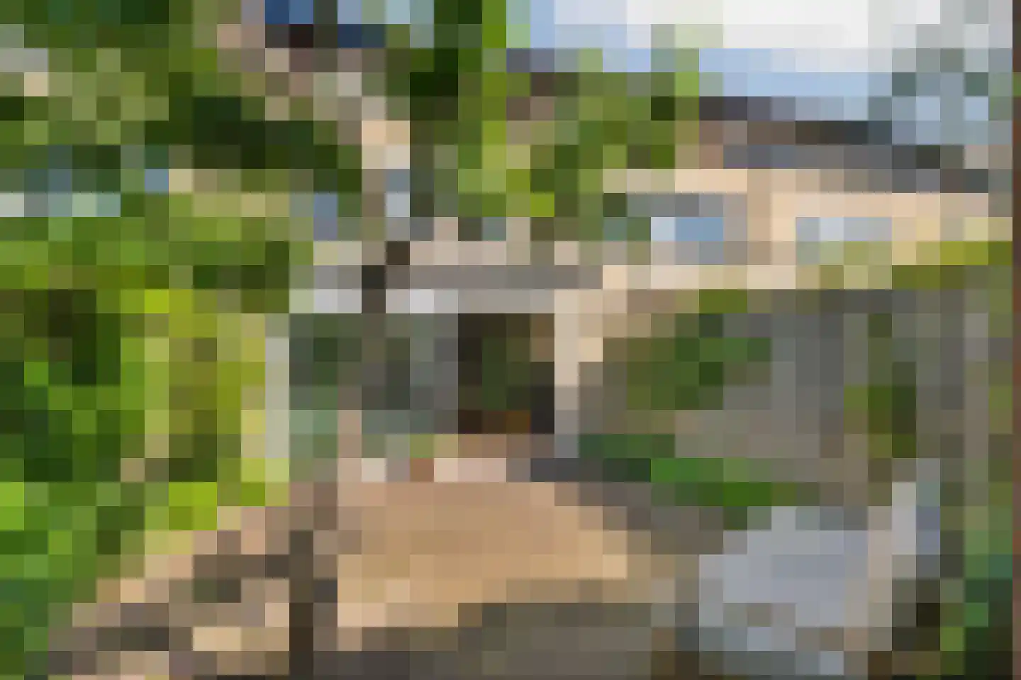 Starnheim 7 Abcoude thumbnail 36