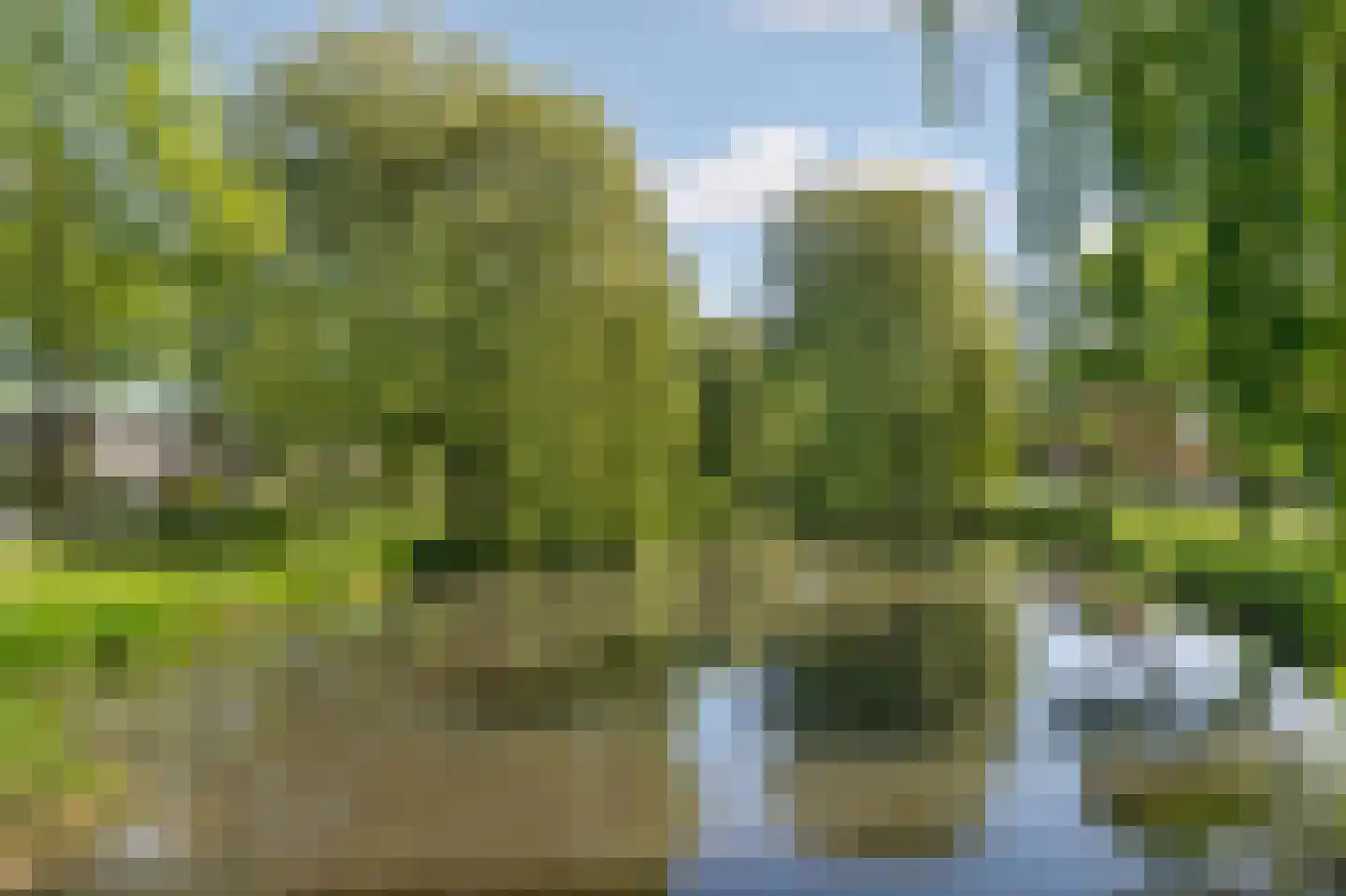 Starnheim 7 Abcoude thumbnail 42