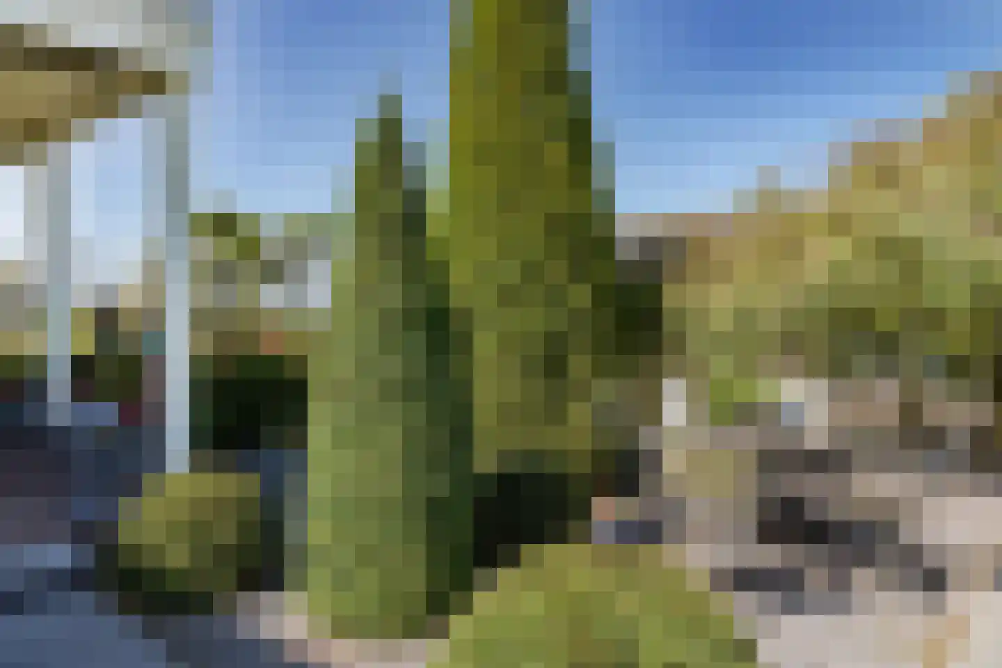 Starnmeerdijk 24 Spijkerboor thumbnail 22