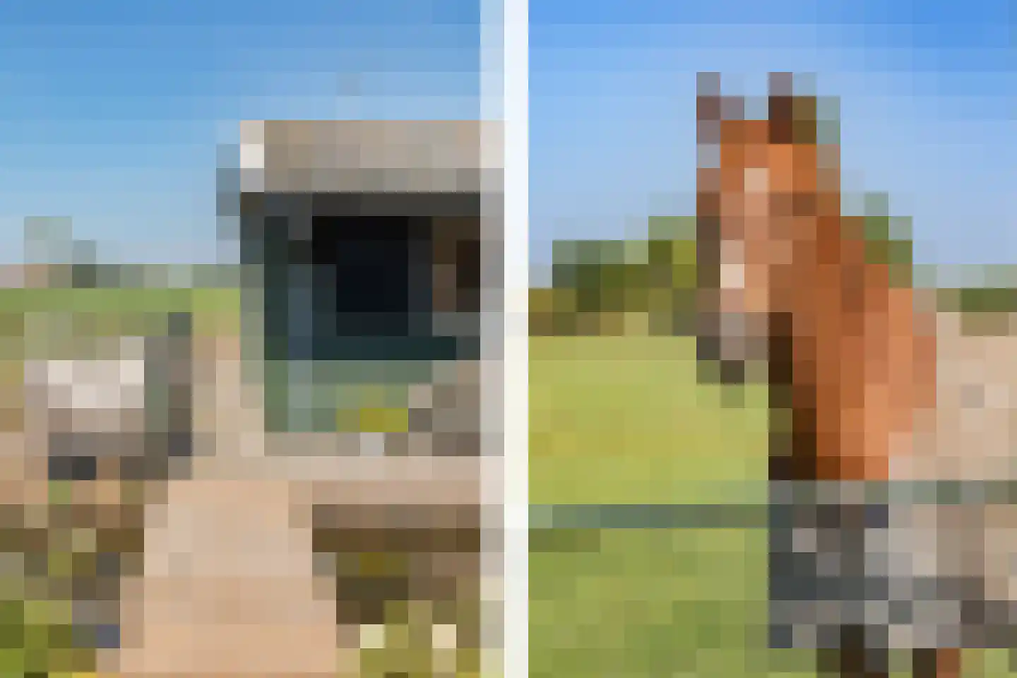 Starnmeerdijk 24 Spijkerboor thumbnail 30