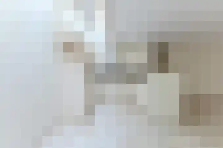 Starnmeerstraat 19 Assendelft thumbnail 11