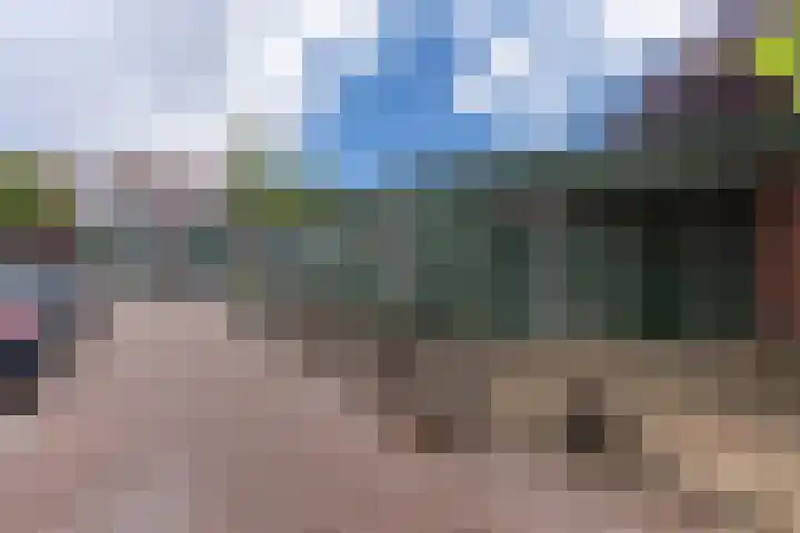 Starnmeerstraat 19 Assendelft thumbnail 4