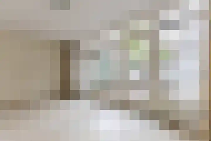 Starnmeerstraat 19 Assendelft thumbnail 8
