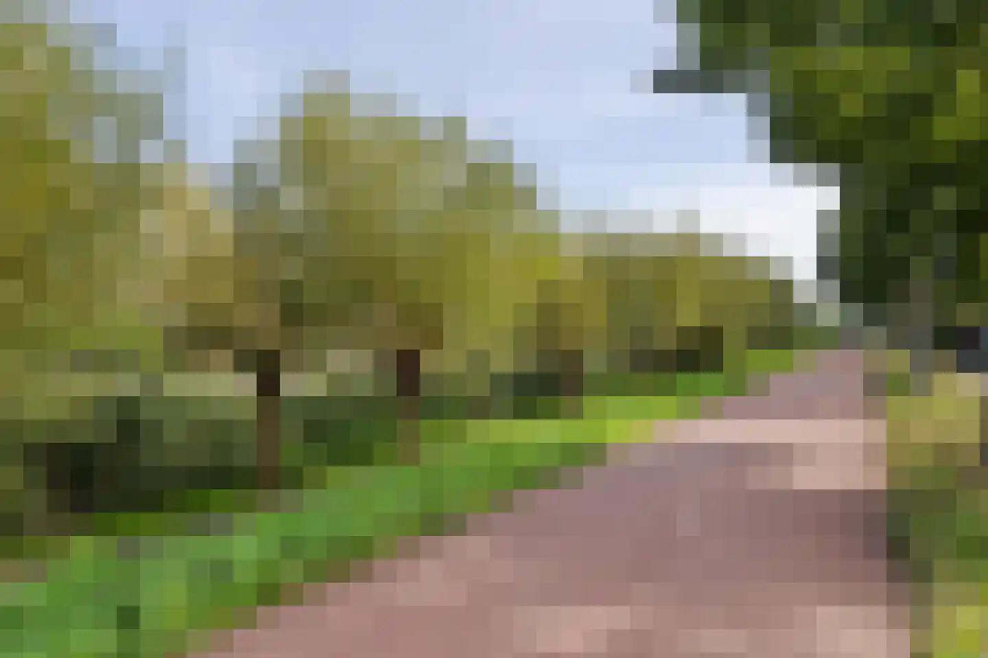 Starnmeerstraat 37 Den Haag thumbnail 53